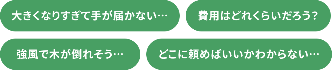 「大きくなりすぎて手が届かない」「費用はどれくらいだろう？」「強風で木が倒れそう」「どこに頼めばいいかわからない」など、庭木のことでお困りの内容例が入っている。